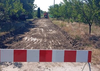 Asfaltira se i poslednja neasfaltirana ulica u Glogonju